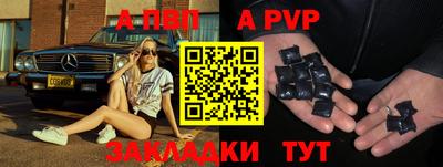 твердый Кингисепп