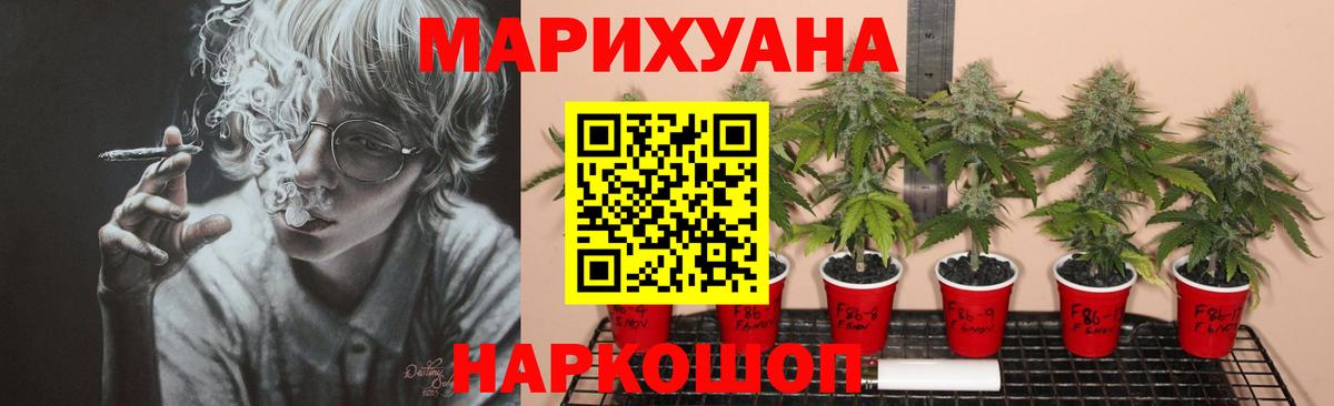 Конопля сатива  Марихуана планчик  Вход с VPN  Урюпинск 